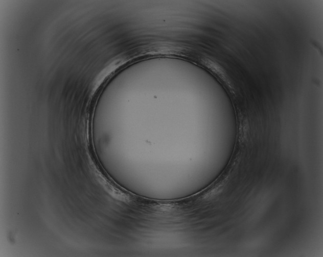 X0000101411130200807141125