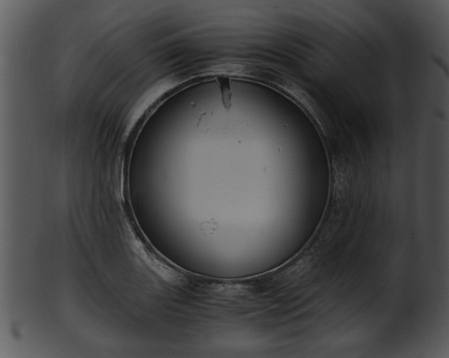 X0000101411131200807141125