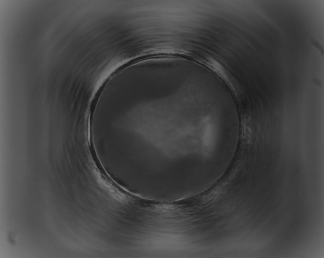 X0000101411132200807141125