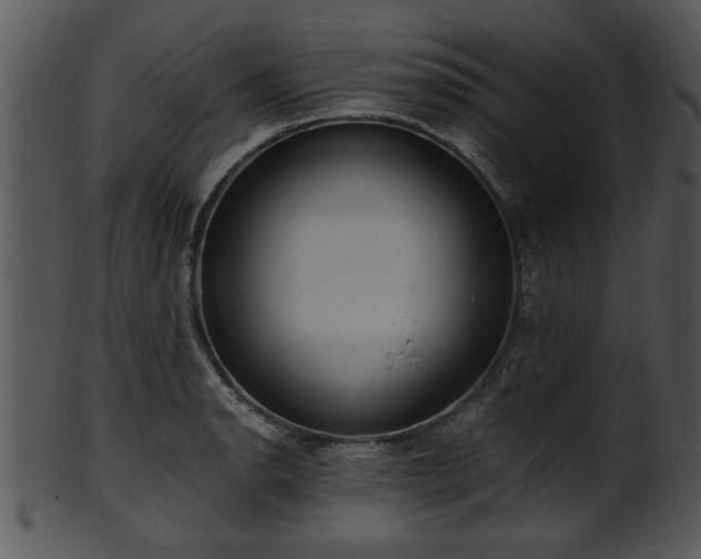 X0000101411134200807141125