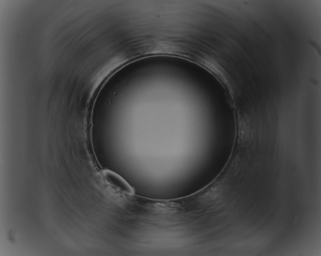 X0000101411138200807141125