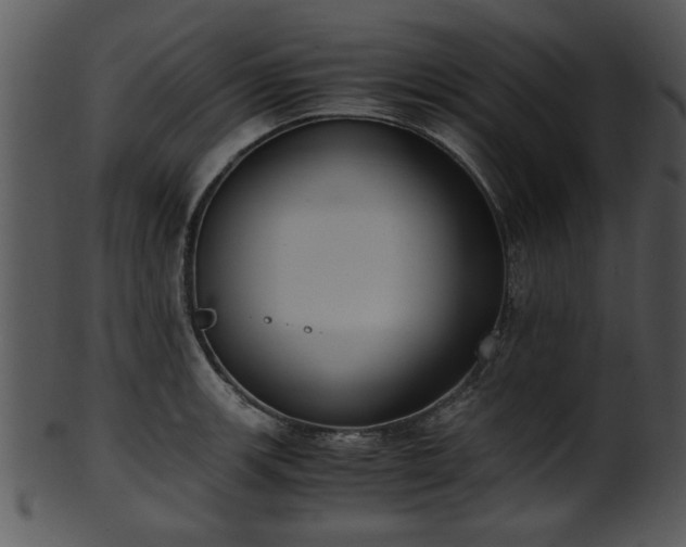X0000101411139200807141125