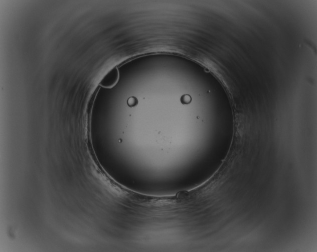 X0000101411140200807141125