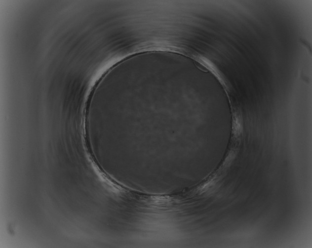 X0000101411144200807141125