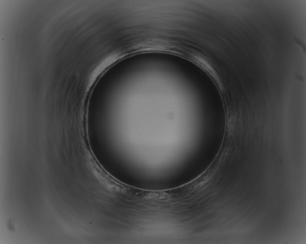 X0000101411146200807141125