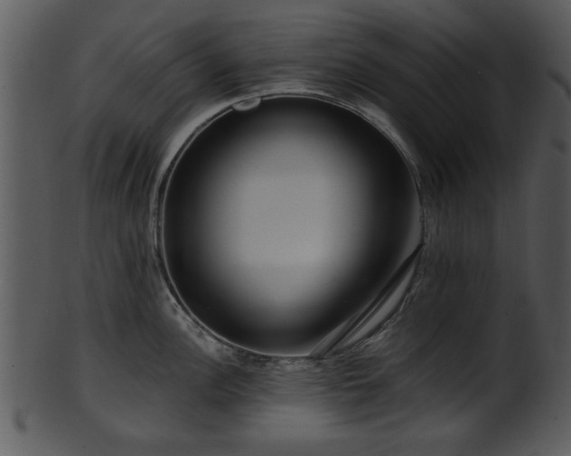 X0000101411148200807141125