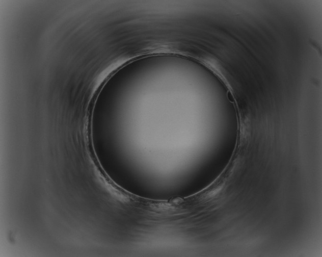 X0000101411149200807141125