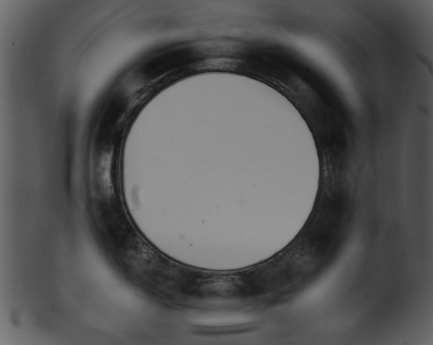 X0000101411150200807141125