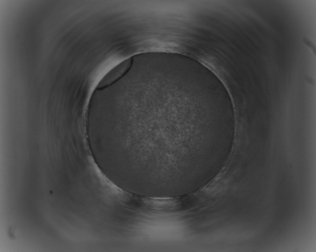 X0000101411152200807141125