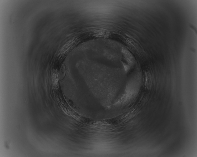 X0000101411154200807141125