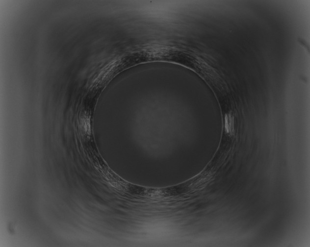 X0000101411155200807141125