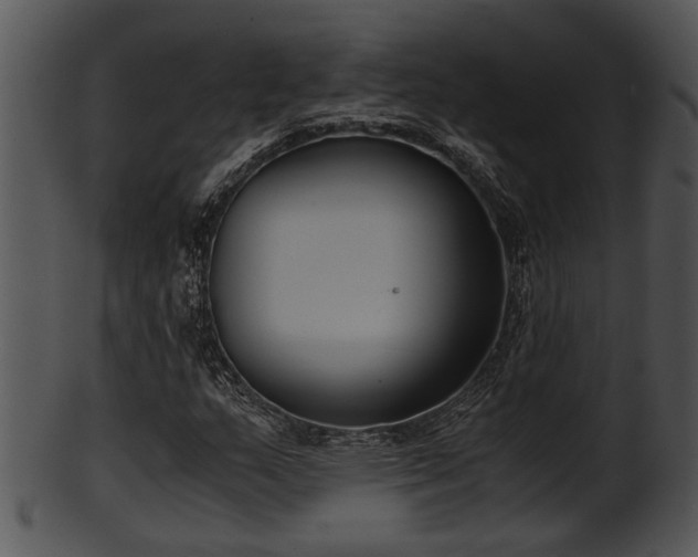 X0000101411159200807141125