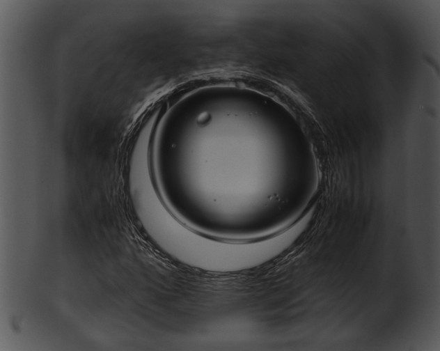 X0000101411160200807141124