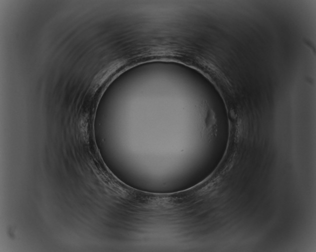 X0000101411162200807141124