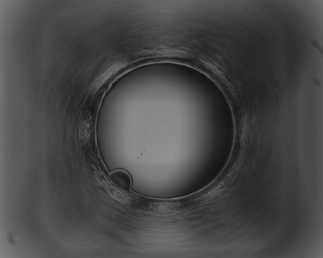 X0000101411163200807141124