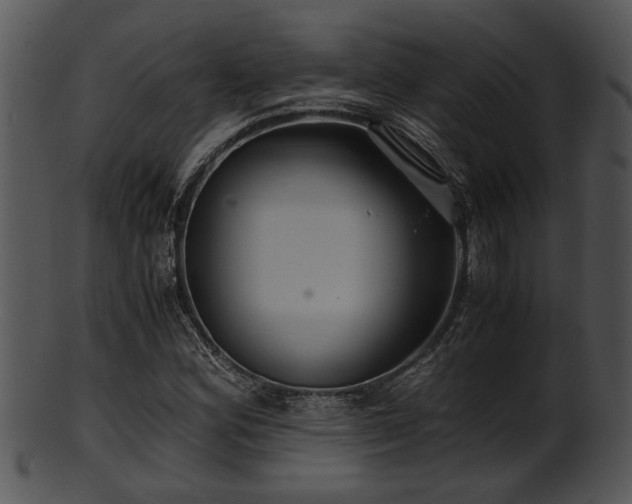 X0000101411164200807141124