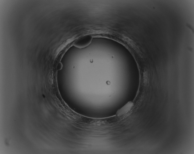 X0000101411165200807141124