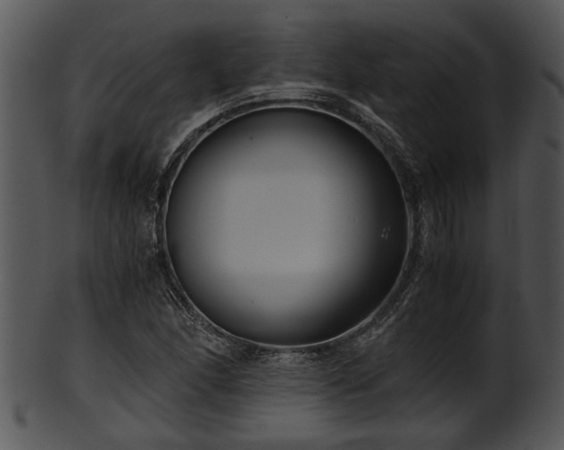 X0000101411166200807141124