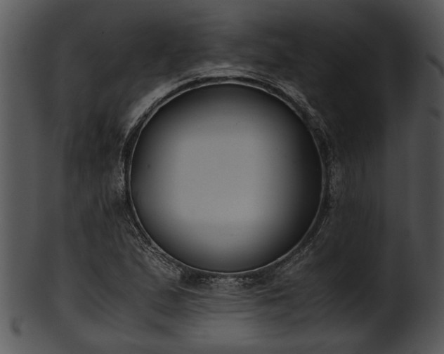 X0000101411167200807141124