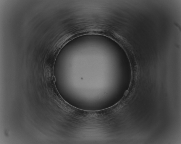 X0000101411169200807141124