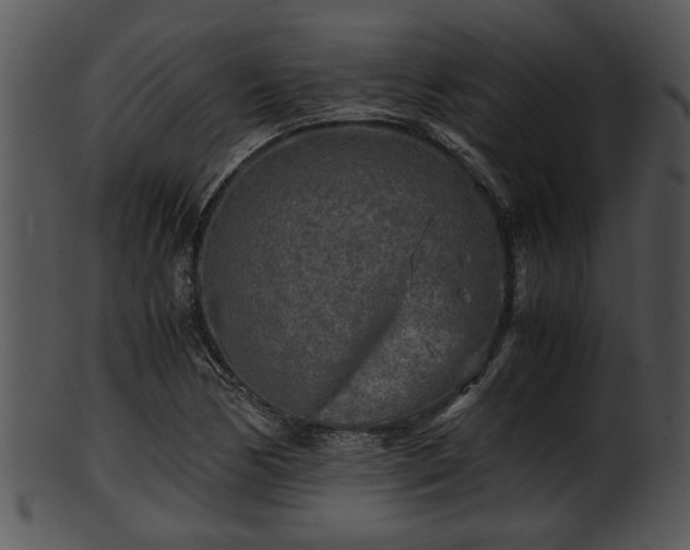 X0000101411170200807141124