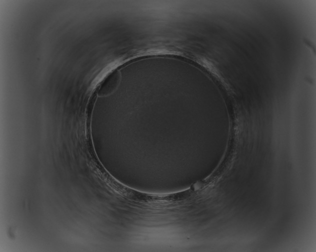 X0000101411173200807141124