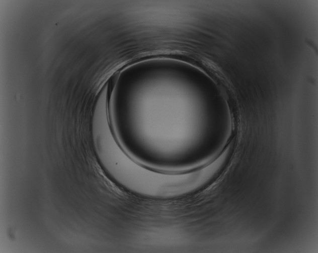 X0000101411177200807141124