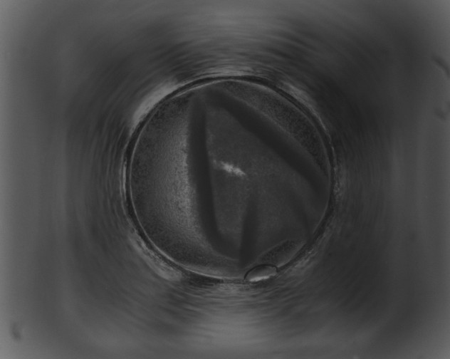 X0000101411179200807141124