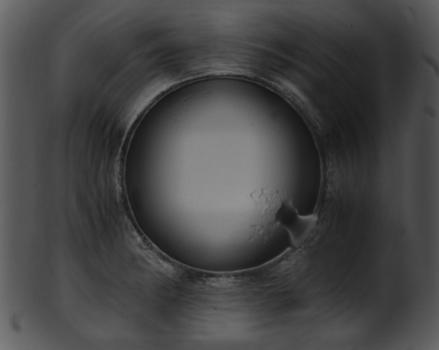 X0000101411182200807141124