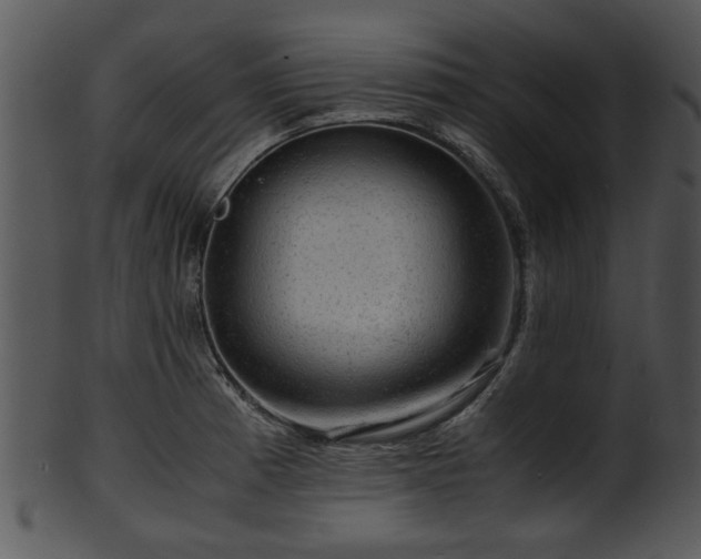 X0000101411185200807141124