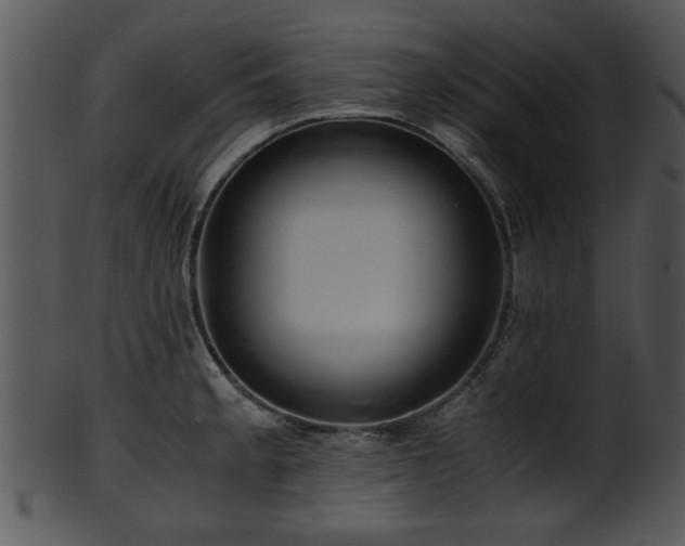 X0000101411189200807141124