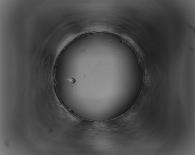 X0000101411191200807141124