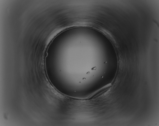 X0000101411192200807141124