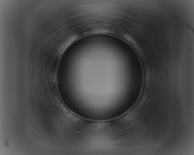 X0000101411193200807141124