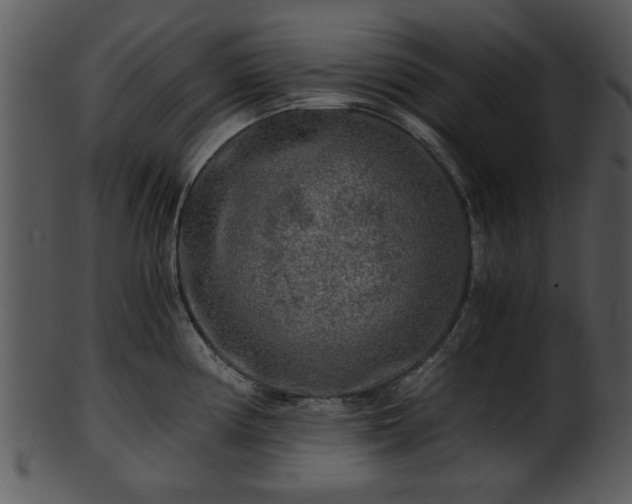 X0000101411194200807141124
