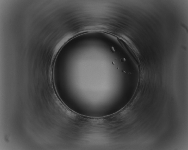 X0000101411196200807141124