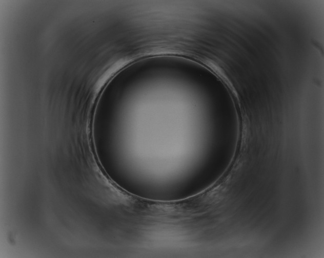 X0000101411197200807141124