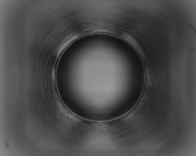X0000101411198200807141124