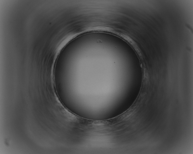 X0000101411199200807141124