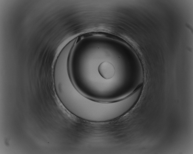 X0000101411200200807141124