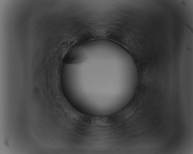 X0000101411201200807141123