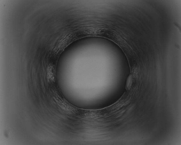X0000101411202200807141123