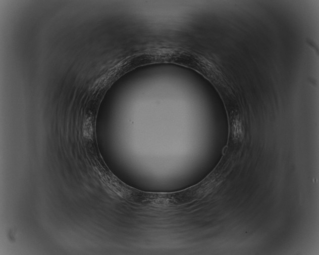 X0000101411204200807141123