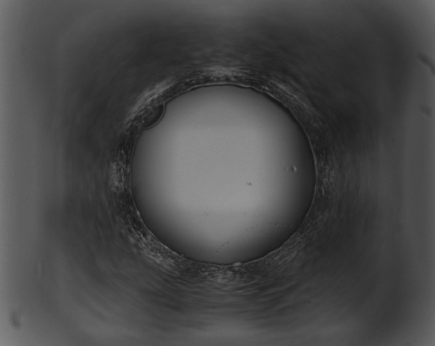 X0000101411207200807141123