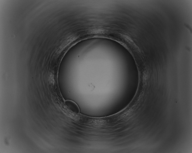 X0000101411209200807141123
