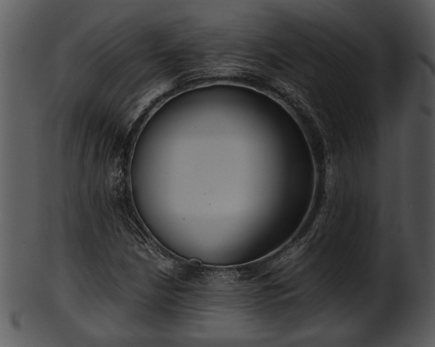 X0000101411210200807141123