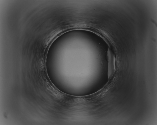 X0000101411212200807141123