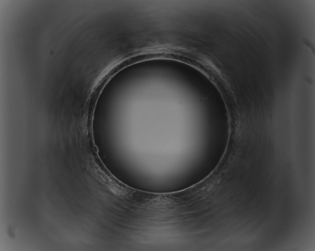 X0000101411216200807141123