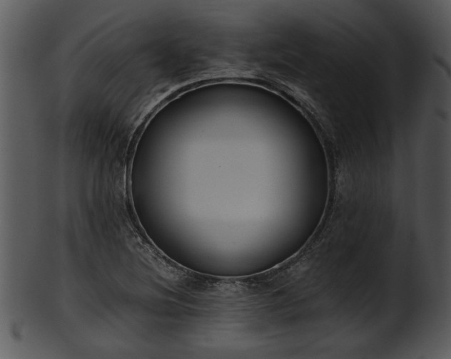 X0000101411220200807141123