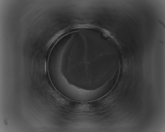 X0000101411221200807141124